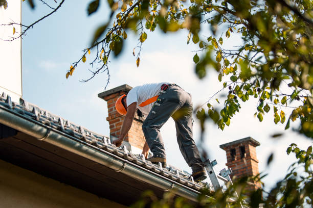 Best Roof Gutter Cleaning  in Windsor, VA