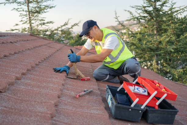 Best Roof Gutter Cleaning  in Windsor, VA